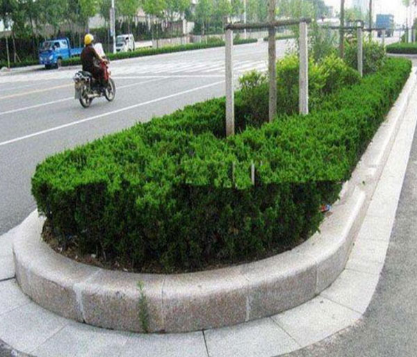 路沿石